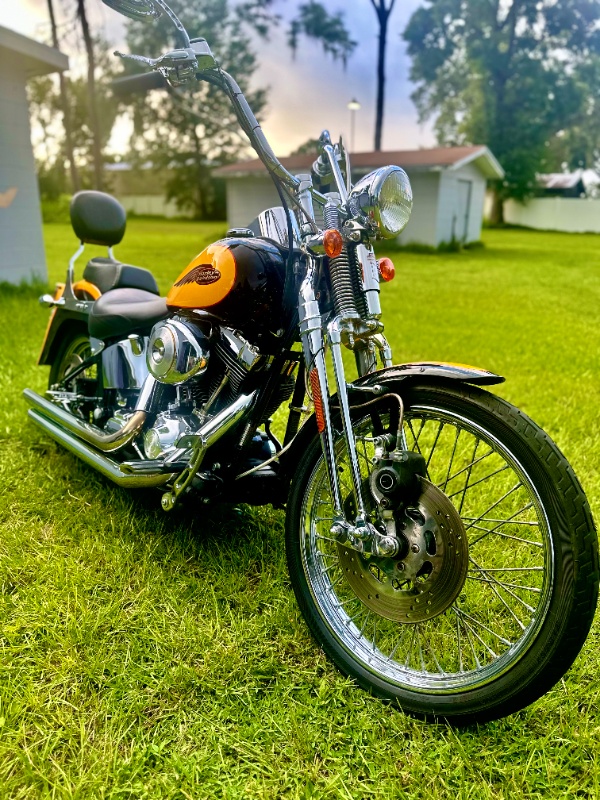 Harley-Davidson FXSTS Springer Softail
